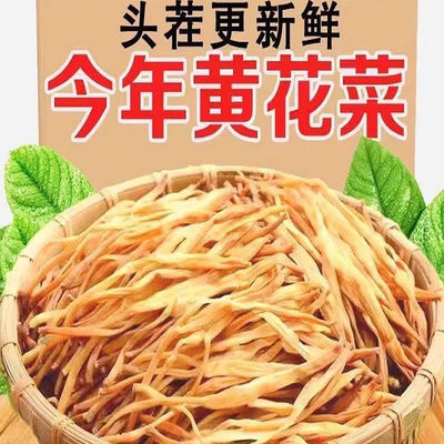 黄花菜干货500g甘肃特产新鲜干黄花菜金针菜特级手选一整箱非净重
