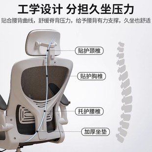 办公椅子舒适久坐电脑椅家用座椅书桌靠背椅电竞S椅宿舍人体工学