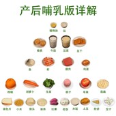 仿真中国居民平衡膳食宝塔模x型营养饮食健康食物交换份金字塔模