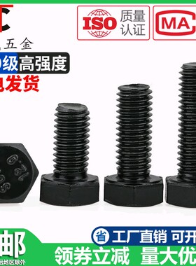 M5M6M8M10 1o2.9级螺丝全牙半牙外六角螺栓高强度发黑螺钉加长螺
