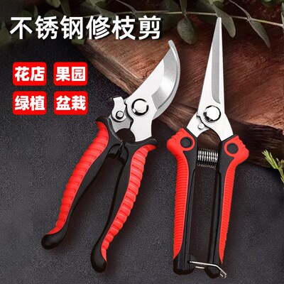 花剪园艺剪刀粗枝修剪树枝花卉盆栽插花摘葡萄水果尖头Z不锈钢剪