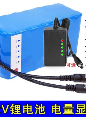 锂电池12vg大容量农用电动喷雾打药机照明音响蓄电池充电器