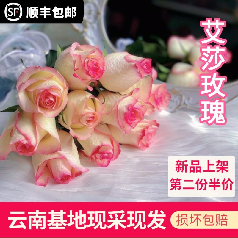 香槟艾莎红粉白玫瑰云南昆明基地直发同城速递包邮鲜花花束情人节