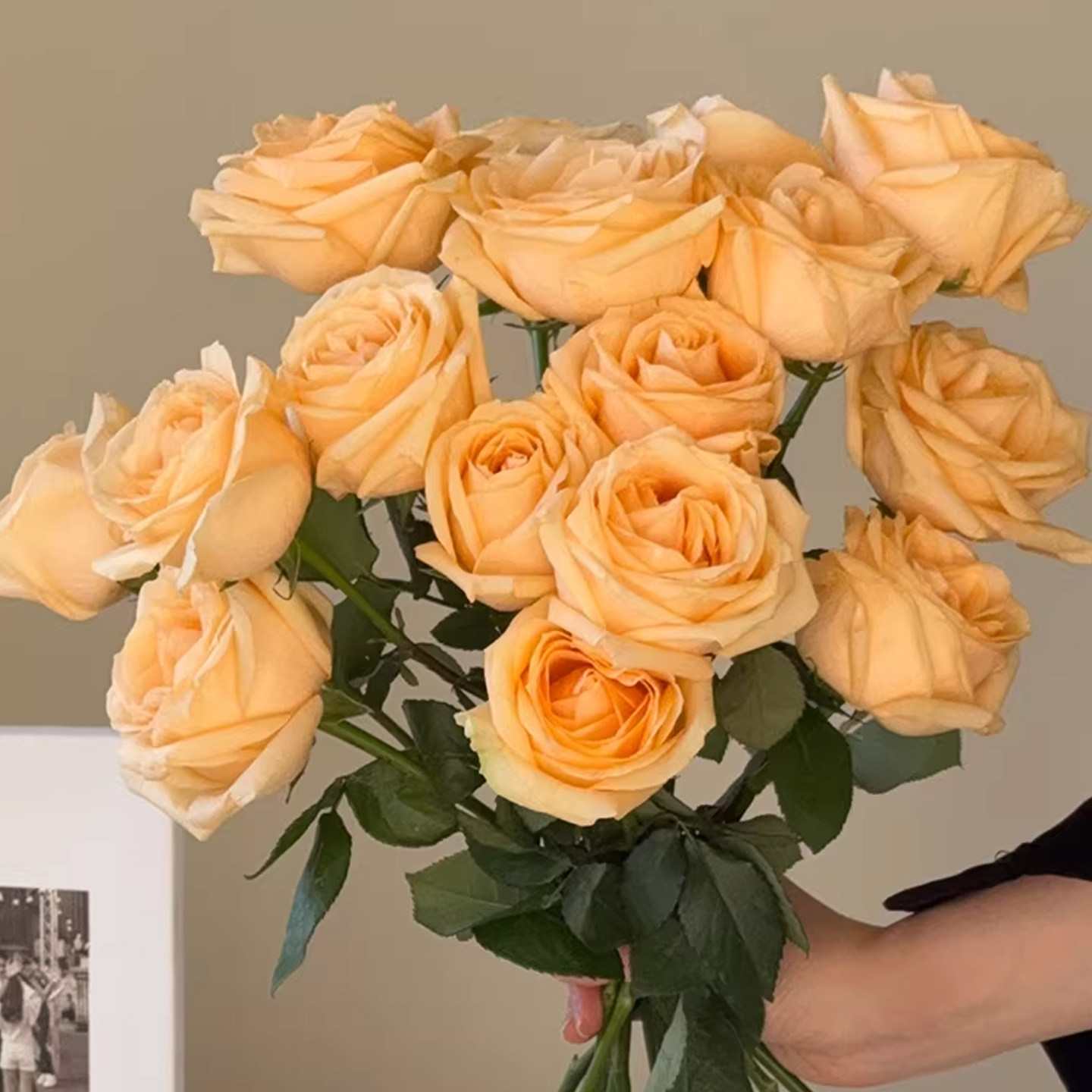 云南基地鲜花玫瑰花束情侣生日鲜花同城配送A级香槟红玫瑰插花