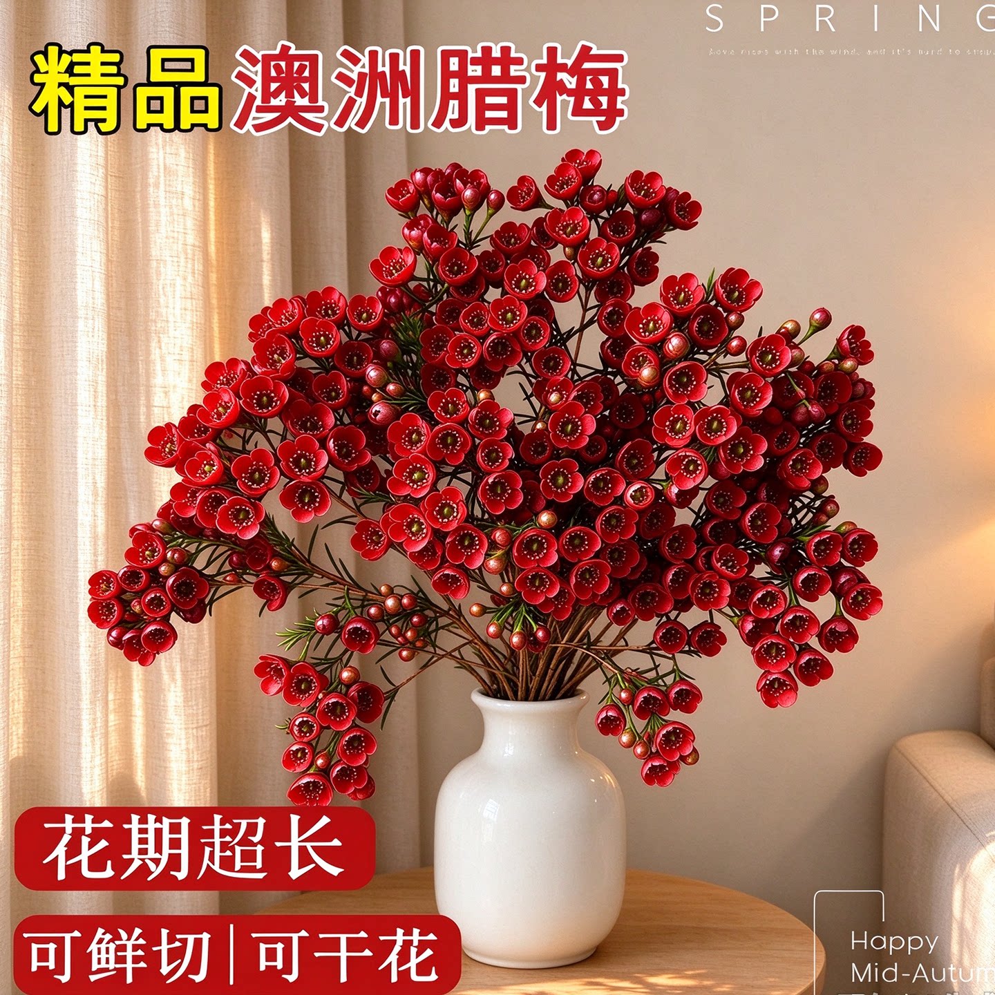 澳洲腊梅鲜花水培鲜枝干枝真花卉