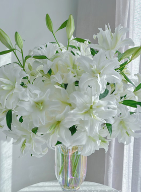 精品百合鲜花云南基地粉色白色重瓣香水百合家用插花黄霸天鲜切花