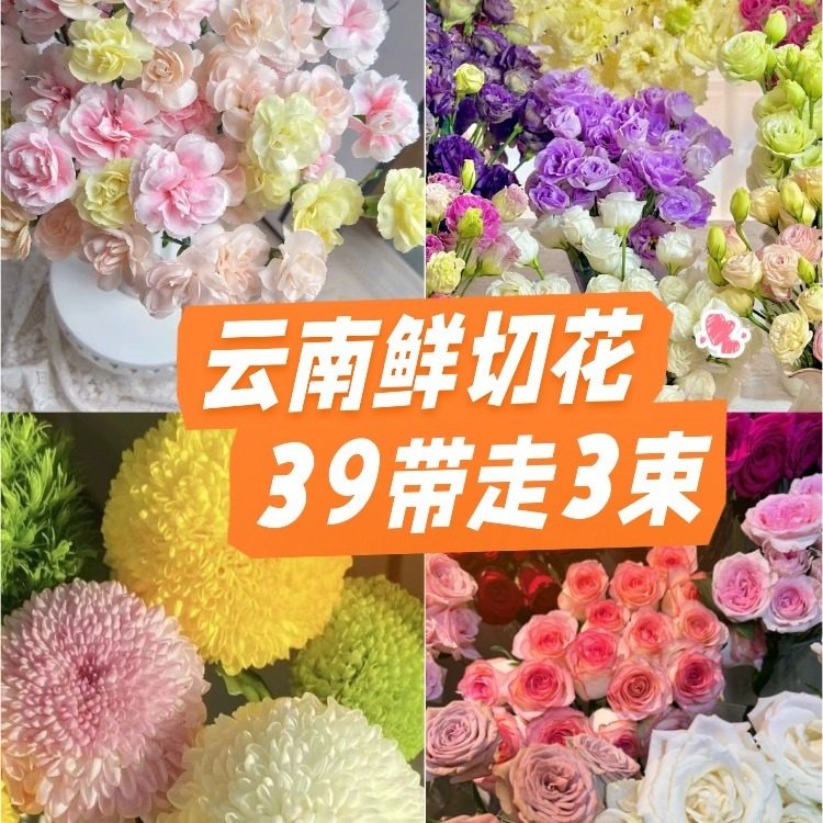 39.9元任选3件 鲜花云南直发玫瑰鲜花卉插花家用鲜切花风铃花绣球
