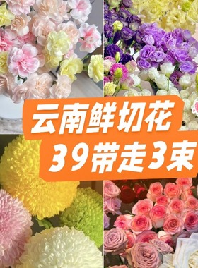 39.9元任选3件 鲜花云南直发玫瑰鲜花卉插花家用鲜切花风铃花绣球