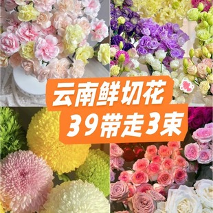 39.9元 鲜花云南直发玫瑰鲜花卉插花家用鲜切花风铃花绣球 任选3件