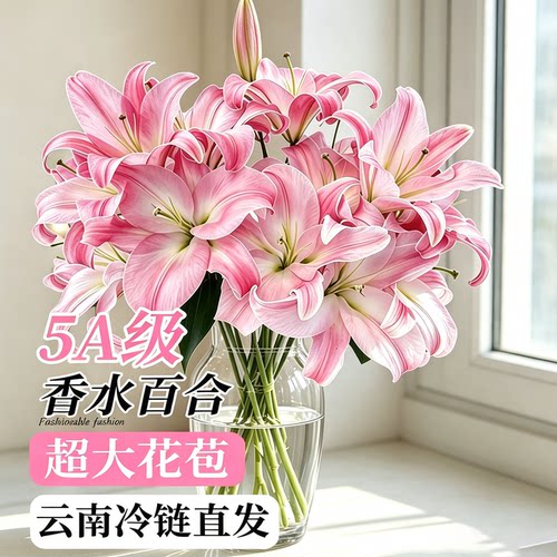 百合花鲜花黄天霸云南直发冷链