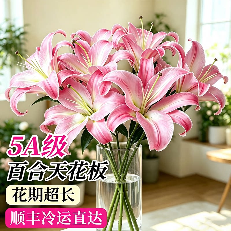 百合花鲜花云南直发粉白色