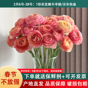 云南鲜花基地玫瑰洋牡丹顺丰包邮年宵花鲜花速递同城花束插花水养