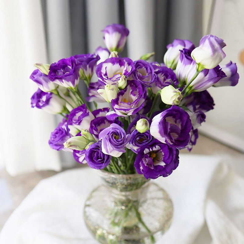 洋桔梗插花鲜花云南直发直批昆明花束基地水养家用洋吉梗花桔梗花