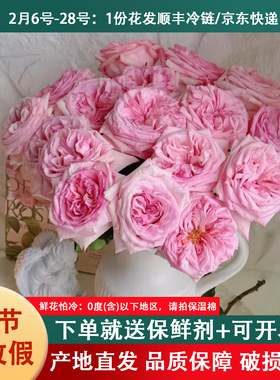 云南昆明顺丰A级白荔枝艾莎玫瑰花云南鲜花基地家用水养插花束