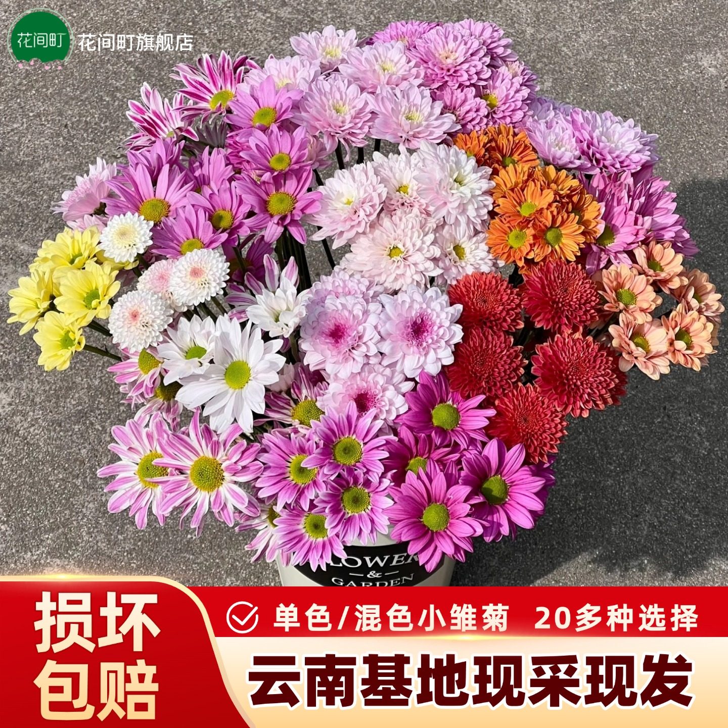 混色小雏菊鲜花云南基地直发新鲜三文鱼小菊花束水养插花鲜切花卉,鲜花速递/花卉仿真/绿植园艺,花材,淘宝优惠券,粉丝福利购,淘宝优惠卷