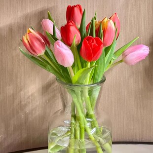 【k姐推荐】郁金香云南鲜花基地顺丰直发水养插花鲜切花昆明花卉