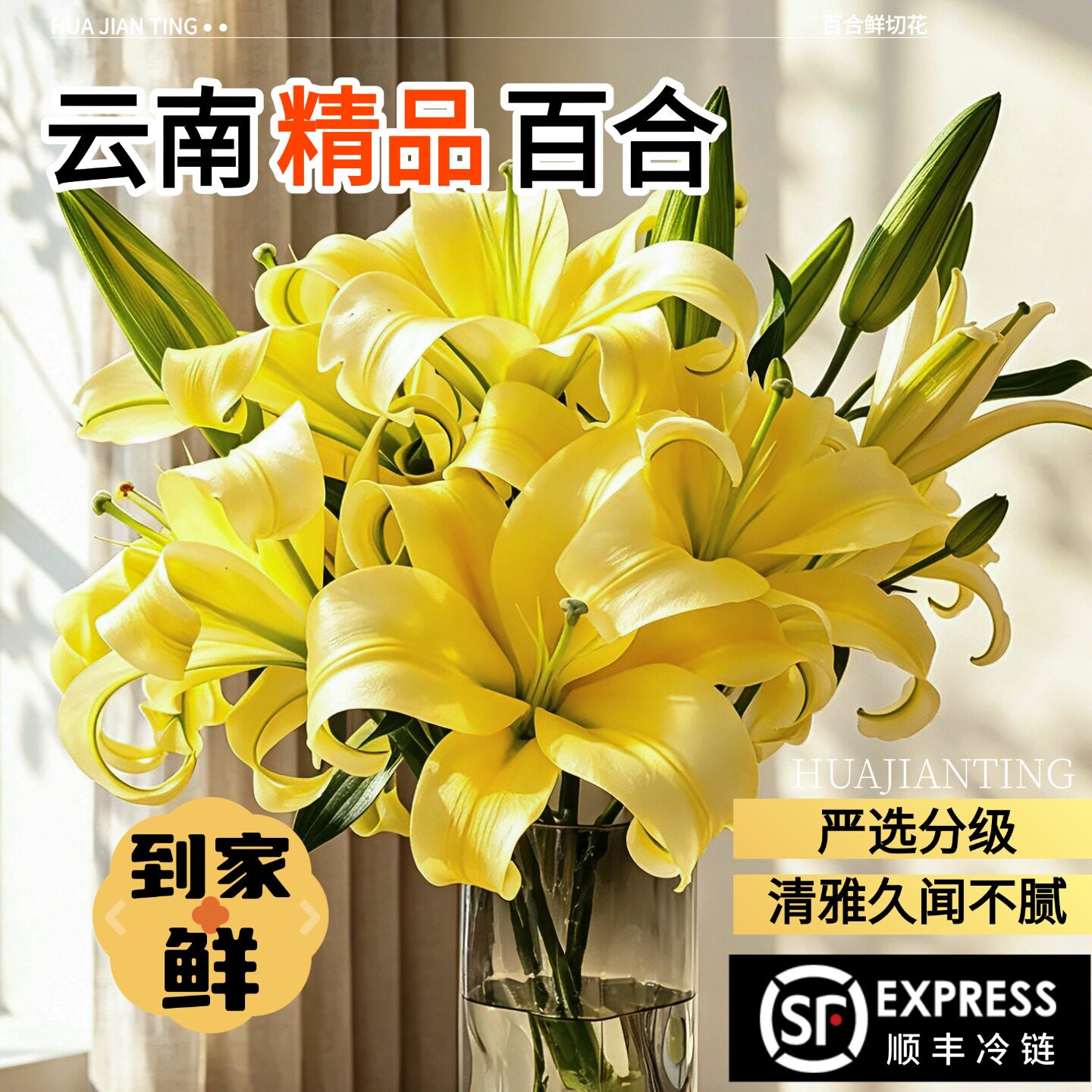 精品百合鲜花云南基地粉色白色重瓣香水百合家用插花黄霸天鲜切花
