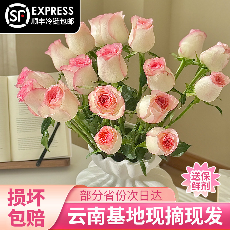 云南新鲜玫瑰花鲜花速递同城配送基地艾莎A级玫瑰花家用插花水养,鲜花速递/花卉仿真/绿植园艺,花材,淘宝优惠券,粉丝福利购,淘宝优惠卷