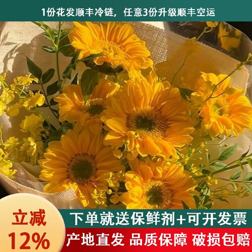 向日葵鲜花大花云南基地直发
