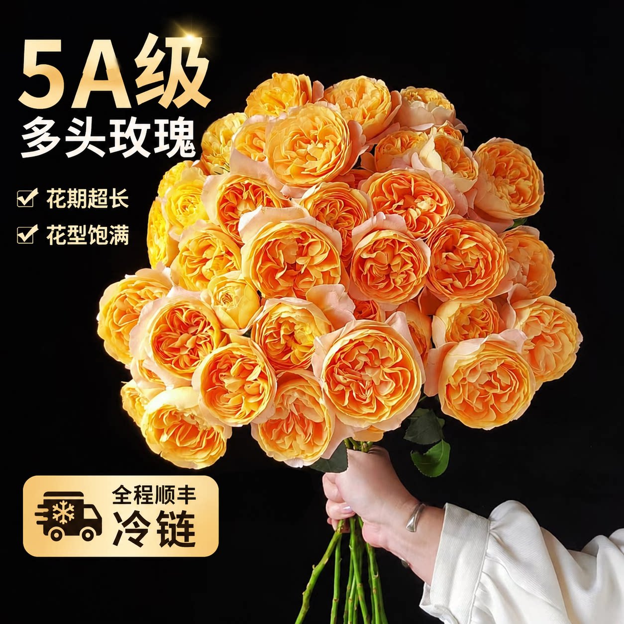 多头玫瑰鲜切花橙色芭比家用插花