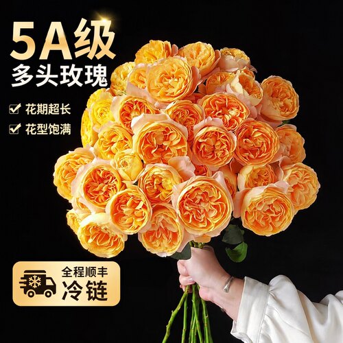 多头玫瑰鲜切花橙色芭比家用插花