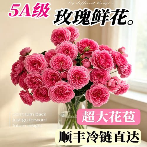 稀有玫瑰花鲜切花云南直发同城配