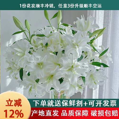 花间町A级品质鲜花顺丰冷链