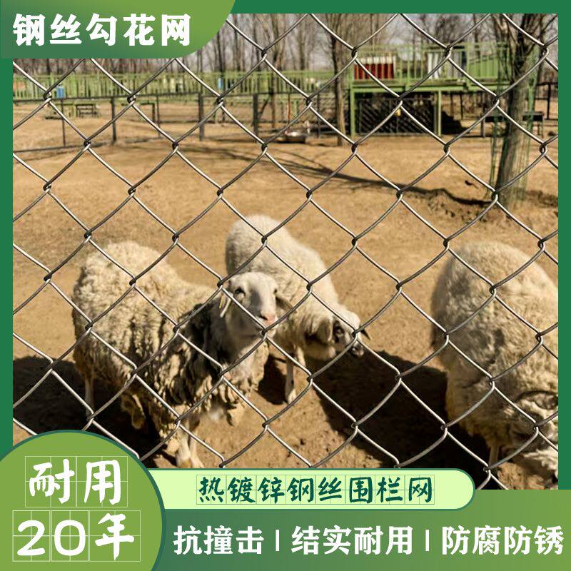 速发农村菜地羊铁园鱼池鸡锈窝猪圈铁栏栅围栏围网不生棚舍丝网子