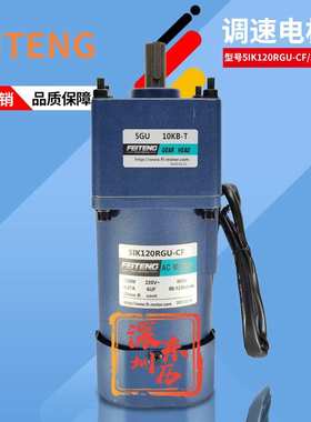 飞腾调速电机5IK120RGU-CF减速机5GU10KB-T GEAR HEAD FEITENG