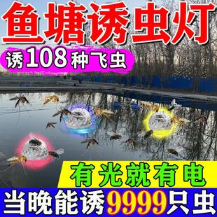 太阳能鱼塘专用诱虫灯户外高效引虫灯农业专用捕捉引昆虫器喂鱼灯