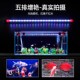 鱼缸灯led防水金鱼红鹦鹉锦鲤增艳灯大型水族箱照明灯赏鱼灯吸盘