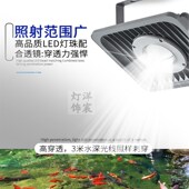大型户外室外LED鱼缸增艳灯锦鲤鱼池灯专用射灯全光谱照明防水灯