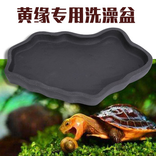 黄缘闭壳龟专用饮水盆 安缘台缘洗澡盆生态环境造景饲养箱专用缸