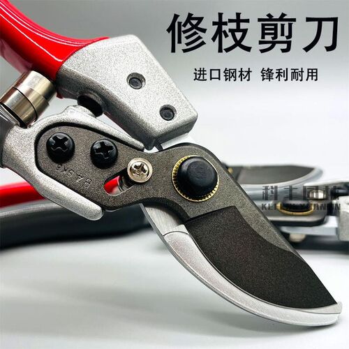 达仕木修枝剪园艺修剪剪刀强力不锈钢修枝修剪果树修树枝剪刀SK5