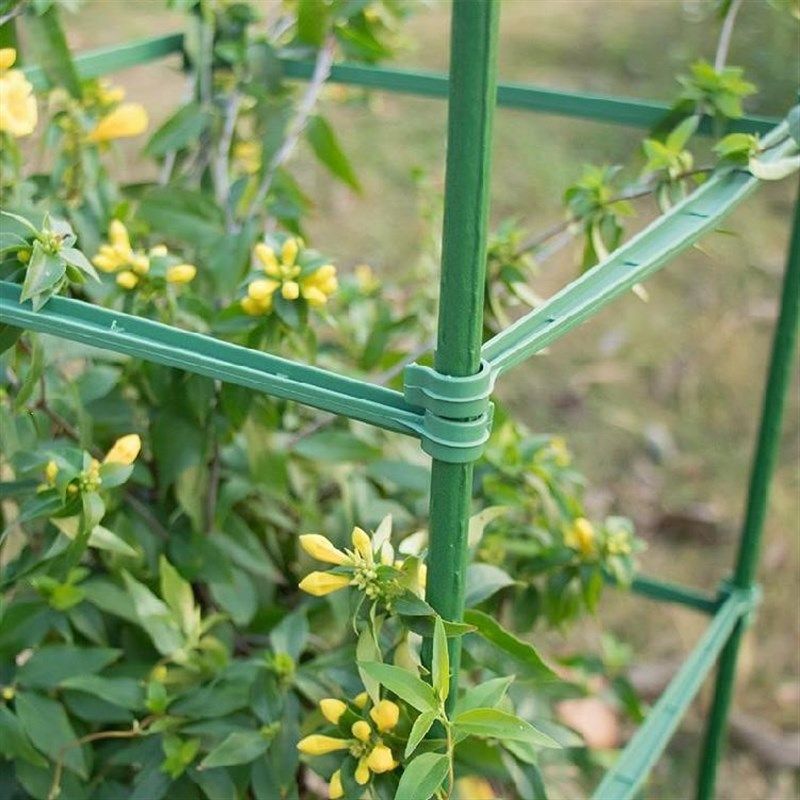 花架爬藤架花盆支架托架大棚攀爬架黄瓜茄子支架子6卡植物架芸豆,鲜花速递/花卉仿真/绿植园艺,花架,淘宝优惠券,粉丝福利购,淘宝优惠卷