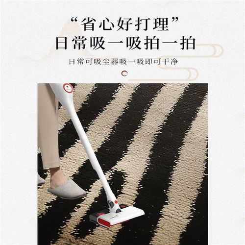 入户门地垫大面积全铺家用地毯客厅2024新款轻奢高级感大门口垫子