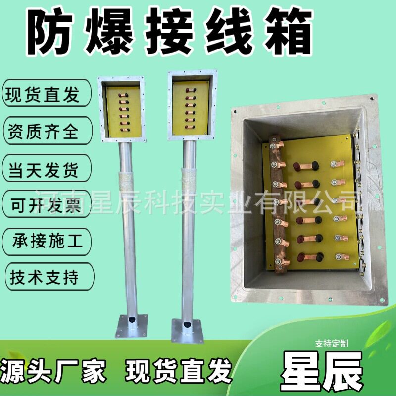 阴极保护壁挂式防爆接线箱 不锈钢带立柱阳极防爆分线箱200x300