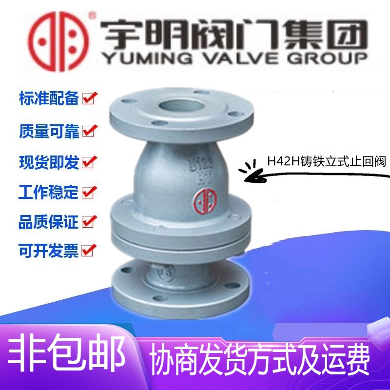 宇明H42H-16/25Q铸铁法兰立式止回阀DN40-150蒸汽导热油单向阀