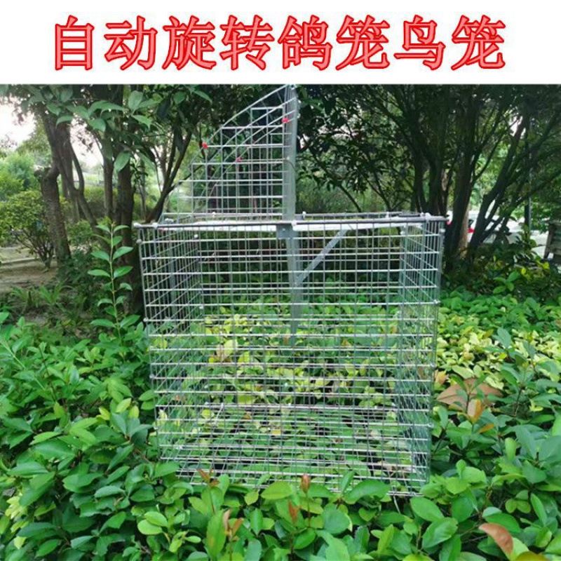 笼家用鸽笼新款训放笼旋转笼撞门2024训专用鸽笼专用折叠鸽子笼