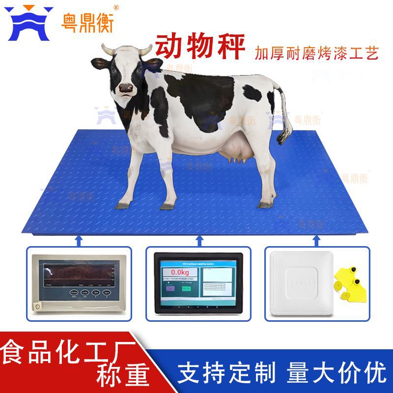 RFID耳边识别称重系统电子动物秤 耳边识别地磅秤带智能触屏