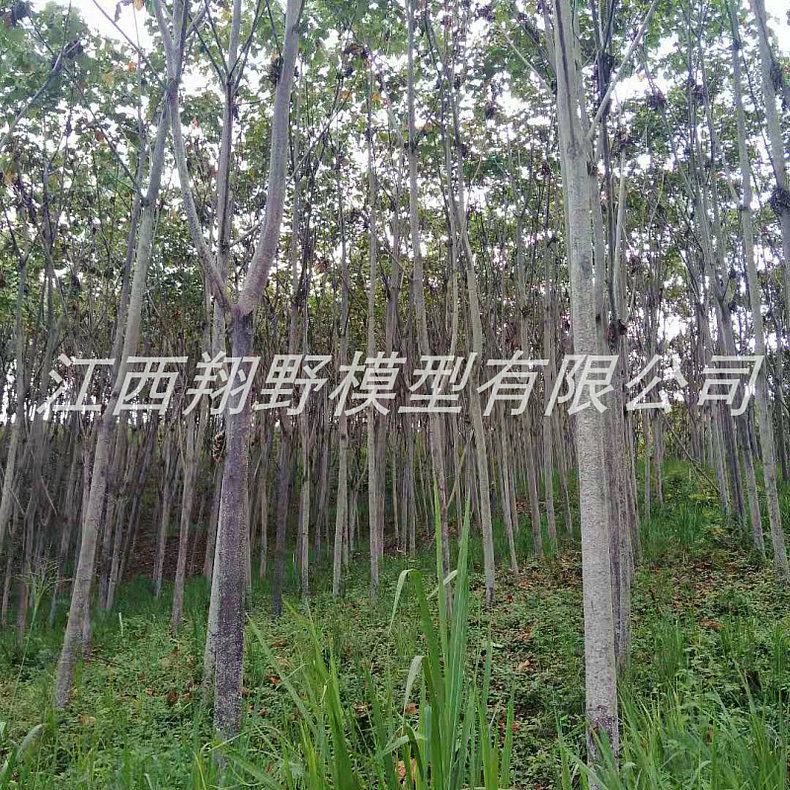 隔音设备木材巴尔沙木 DIY建筑模型手工材料 风力发电用巴沙木