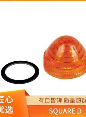 9013FSG9J20 电子元器件 安全开关 SQUARE D 9007C62F