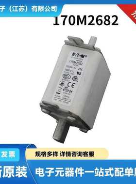170M7666 170M7671 170M7676 170M7978原盒陶瓷熔断器 保险丝