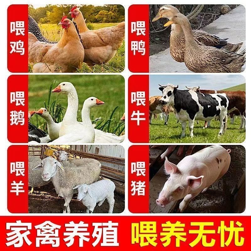 新款碎菜机喂鸡鸭鹅家禽类多功能饲D料机家用全套不锈钢打草粉碎