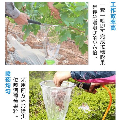葡萄膨果器拉花器棚架猕猴桃浸果器电动J喷雾器篱架拉穗回流泵喷