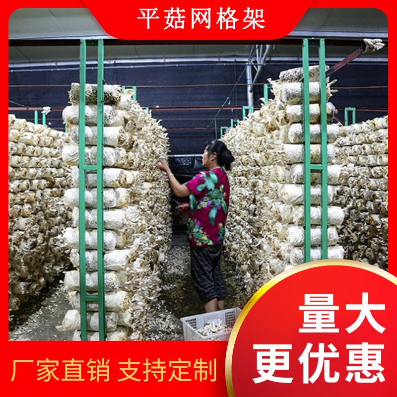 大棚平菇种植架蘑菇网架菌包养殖架绿色J铁丝网格平菇食用菌网格