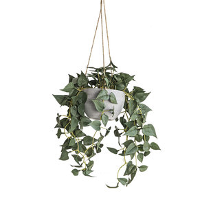 七茉 仿真悬挂植l物小盆栽吊挂仿生绿植装饰造景阳台吊兰盆景摆件