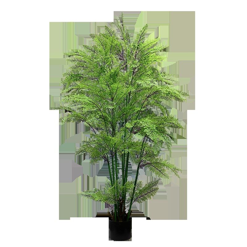 落地仿真凤尾蕨草m树假绿植物盆栽景室内原始自然森系庭院阳台装