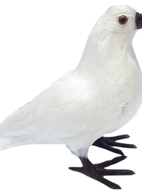 仿真鸽子摆件白鸽道具飞翔鸽婚庆装饰动I物模型鸟类标本和平鸽模