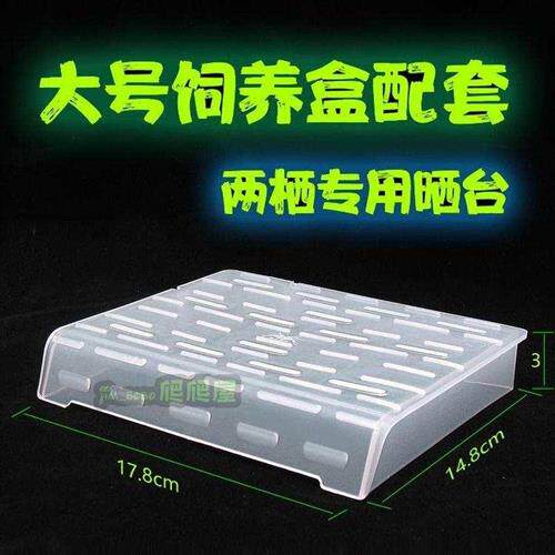 现货速发螃蟹窝饲养盒爬宠冬用多功能家用小缸箱子观赏小型多功能